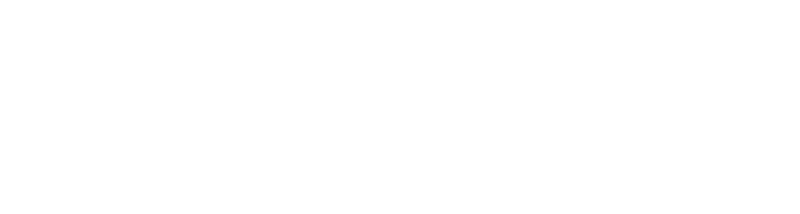 Logo White